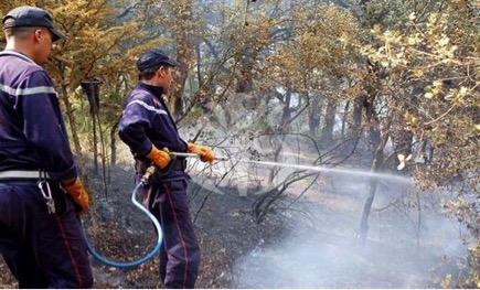 La fermeture des plages accentue la pression sur les espaces forestiers et aggrave les risques d&rsquo;incendie