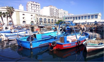 Plus de 1600 tonnes de production halieutique lors du 1er semestre de 2020