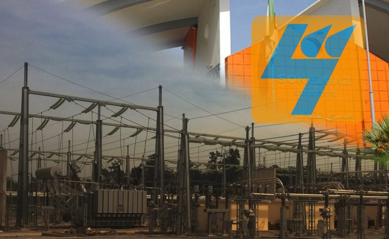 Sans l’aide de l’Etat Sonelgaz aurait déjà déposé son bilan