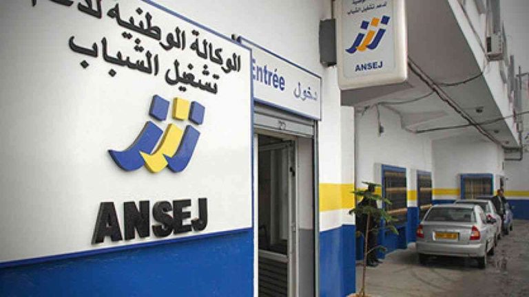 ANSEJ-Le grand nettoyage