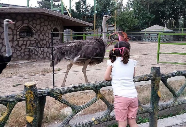 El Tarf-Parc animalier de Brabtia-  Le nouveau directeur objet d’une cabale