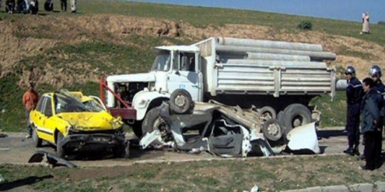Skikda : Plusieurs projets pour lutter contre les feux de forêt