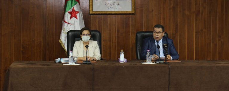 Insertion professionnelle des jeunes-Implication impérative des secteurs concernés