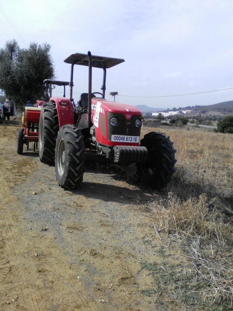 L’agriculture à Annaba tient bon face à la Covid-19.