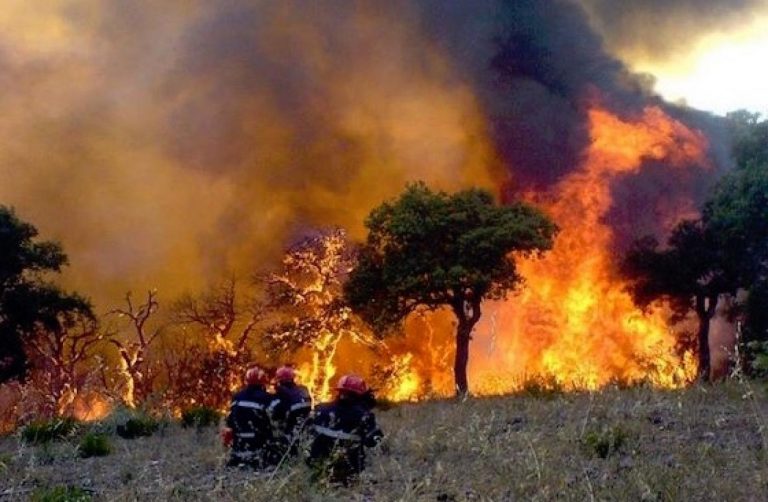 Feux de forêts à Gouraya/Tipasa-  Deux morts et de nombreux cas d&rsquo;asphyxie enregistrés