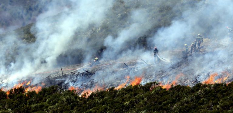 Feux de foret-Des aides financières aux familles des victimes