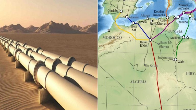 Algérie/Nigeria:L’avantage économique du gazoduc TSGP sera « énorme »