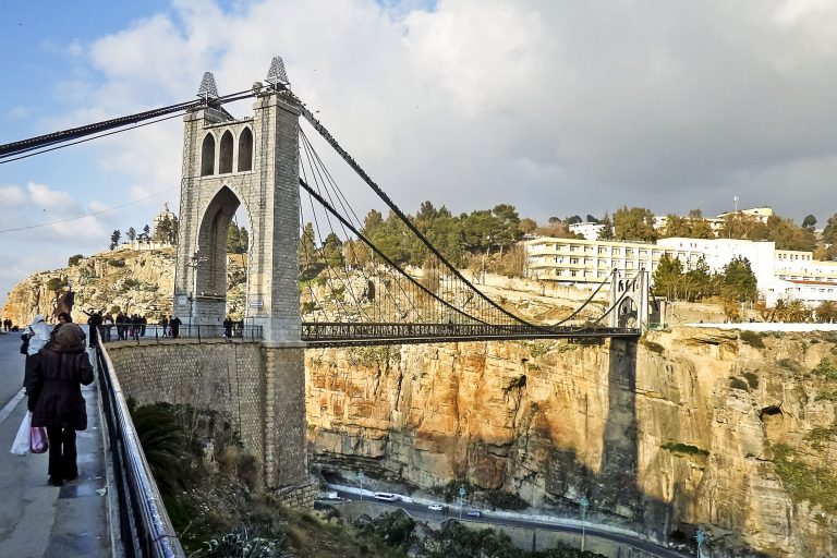 Constantine:Saisie de 6,7 tonnes de viandes rouges impropres à la consommation