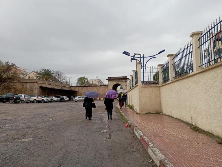 Guelma: Enfin le retour de la pluie