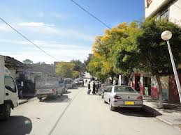 Sureté de daïra de M’Daourouch:Arrestation en flagrant délit d’un voleur par effraction