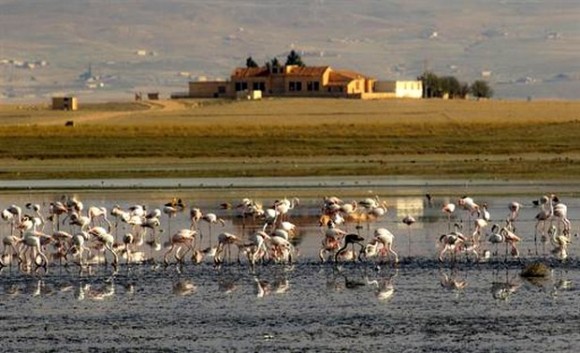 El Tarf / Lac des oiseaux:  La protection des zones humides devient une priorité nationale