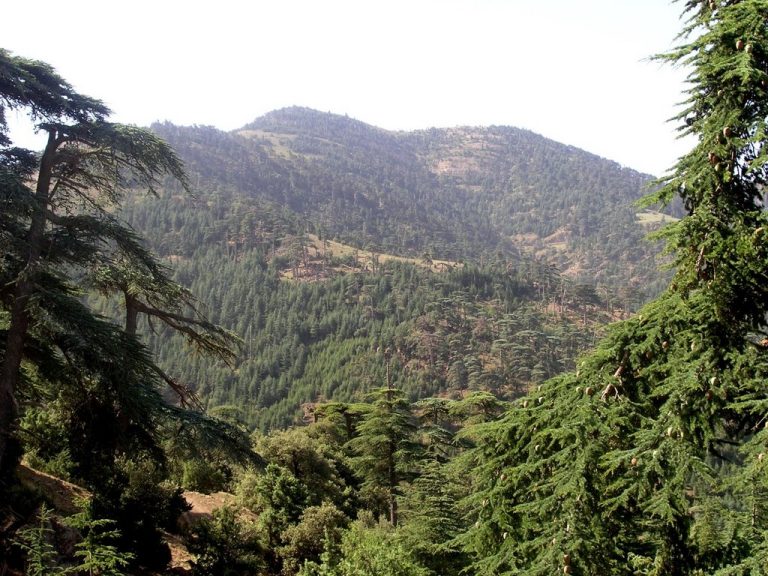 Khenchela: Bientôt un camp national au sommet Ras Kaltoum à Djebel Chélia