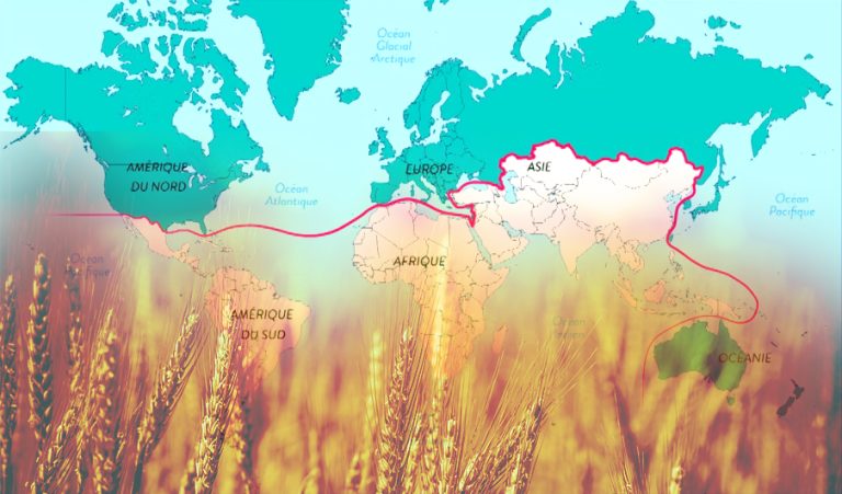 La crise alimentaire en débat:Les pays du sud gravement affectés