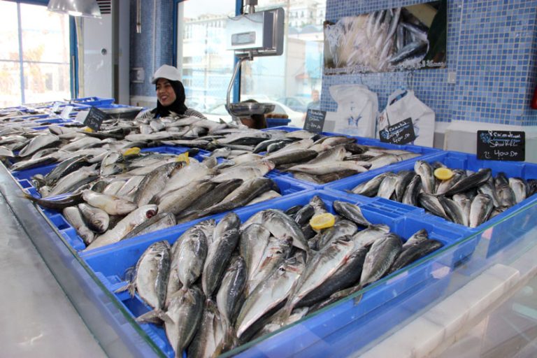 El Tarf  La production des poissons bleu et blanc a triplé
