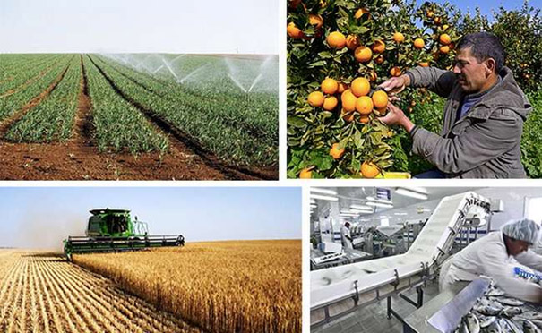 Plein cap sur l’agriculture