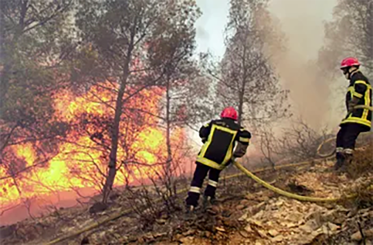 Annaba – Conservation des forêts:  Un plan de lutte contre les incendies