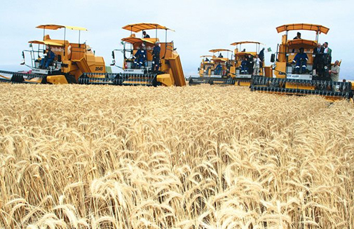 Un plan d’urgence pour l’agriculture se dessine