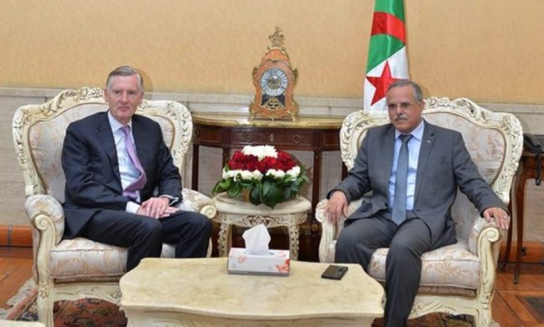 Les Pays-Bas intéressés par un partenariat avec l’Algérie dans le domaine de l’hydrogène vert