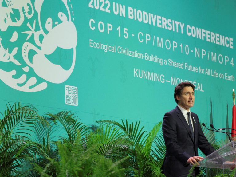 La COP 15 ne s’est pas si mal passée