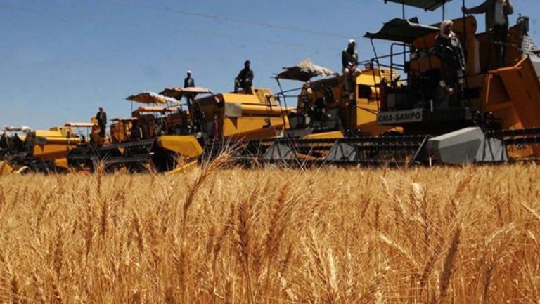 Annaba – Chambre de l&rsquo;agriculture:  Plus de 100 cartes d&rsquo;agriculteurs distribués