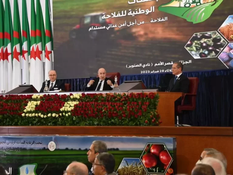 Benabderrahmane  Les recommandations des Assises nationales de l&rsquo;Agriculture seront soumises au Conseil des ministres