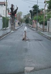 Cadre de vie- Cité Beauséjour La cavité (trou) le plus connu d’Annaba !