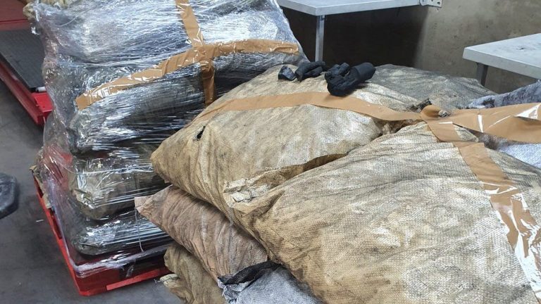 Ain Defla : Saisie de plus de 1.100 sacs de charbon depuis le début l’année