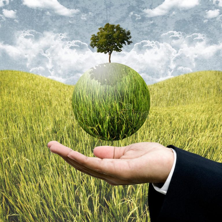 Un atelier sur l&rsquo;agriculture durable en Algérie le 9 mai prochain à Alger