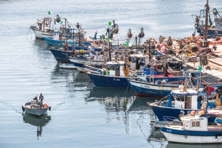 Pêche: Des contrôles intensifs pour s&rsquo;assurer de la salubrité des produits