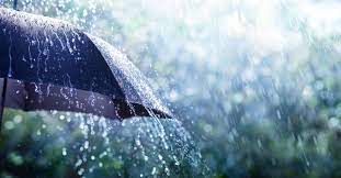 De la bonne pluie quel bonheur !