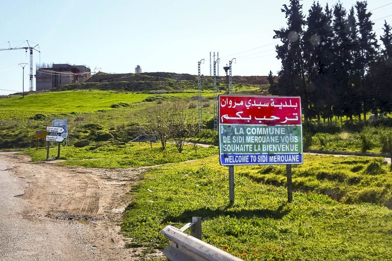 Mila :Les forêts de Tassadane et de Sidi Merouane nettoyées