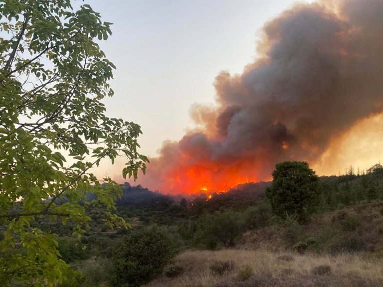Mila :Des habitations et des vergers sauvés du feu
