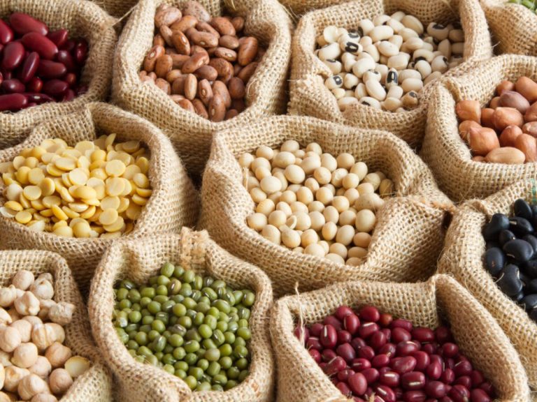 Légumes secs  : Un chantier colossal pour l’OAIC