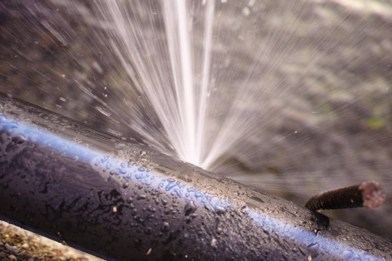 Commune d’El Tarf Face à une fuite d’eau géante la totale indifférence de l’ADE