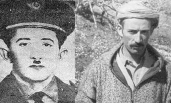 pensée skikda