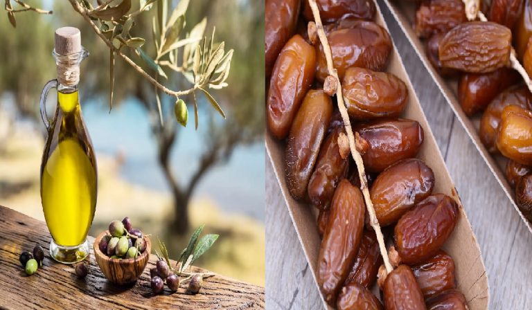 Agriculture: Prochains programmes pour accroître la production des dattes et des olives