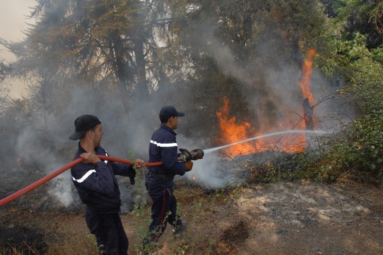 Mila :Un départ de feu vite maîtrisé