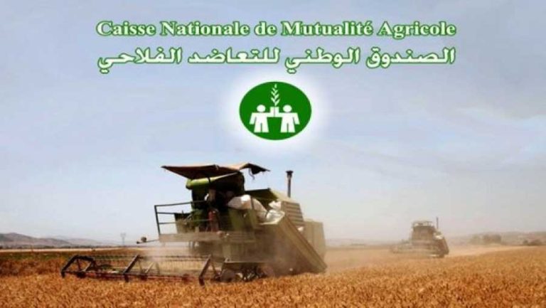 Assurances agricoles La CNMA a réalisé une croissance de 3% en 2022