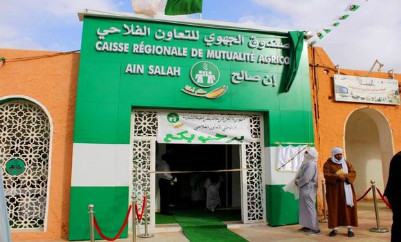 agriculture ouargla insalah
