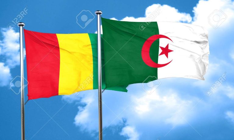 La société « Electricité de Guinée » manifeste un intérêt pour le partenariat avec des opérateurs algériens