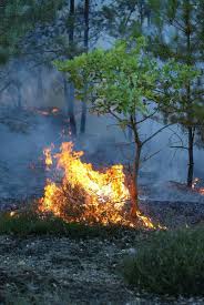 incendie et