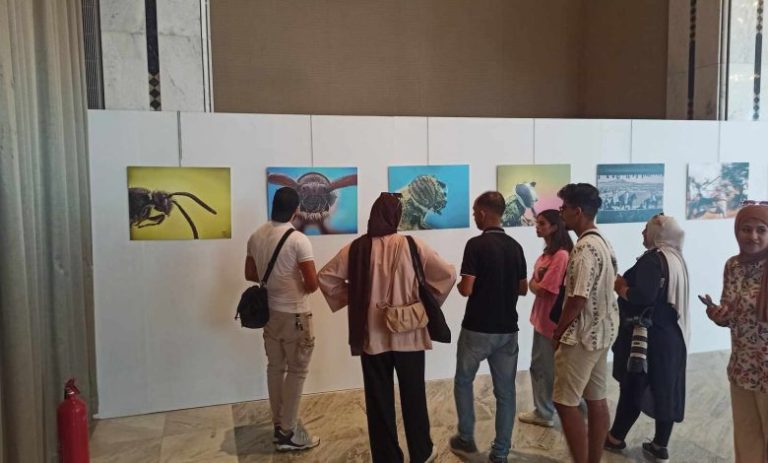Exposition collective de photographies à Alger.