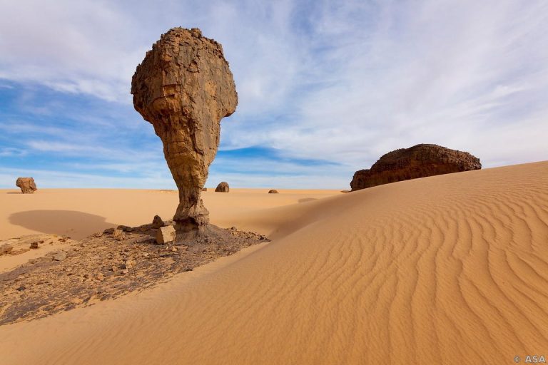 Tamanrasset:  Large affluence à une exposition sur la Révolution du 1er novembre 1954