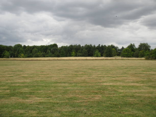 El Tarf/ Ligue de wilaya de Football: Le terrain réservé à la construction du siège attise les convoitises