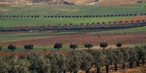 terres agri