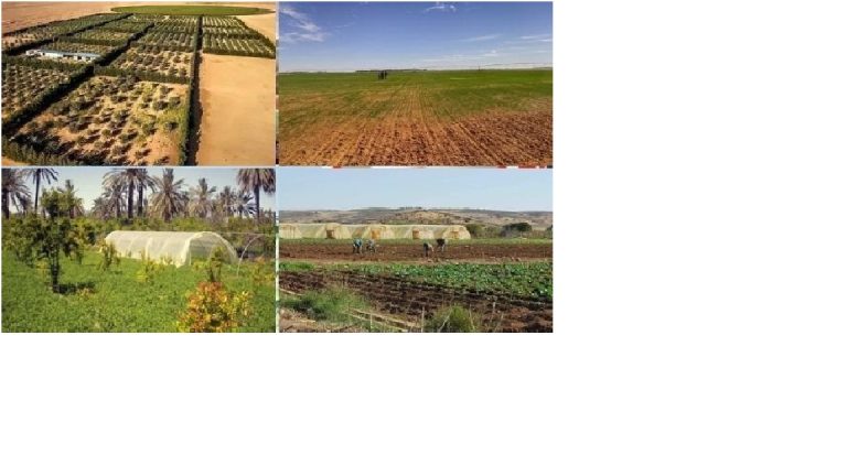ONTA : Lancement d&rsquo;une plateforme numérique pour les demandes de foncier agricole