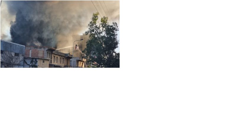 Bejaia: Incendie dans une usine de produits phytosanitaires