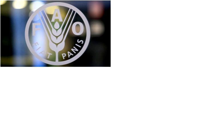 10.000 mds de dollars Conséquences néfastes des systèmes agroalimentaires actuels