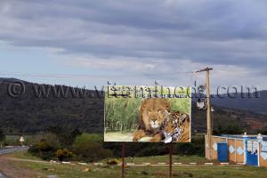 El Tarf-Parc animalier et de loisirs de Brabtia: Deux ouvriers du parc incarcérés