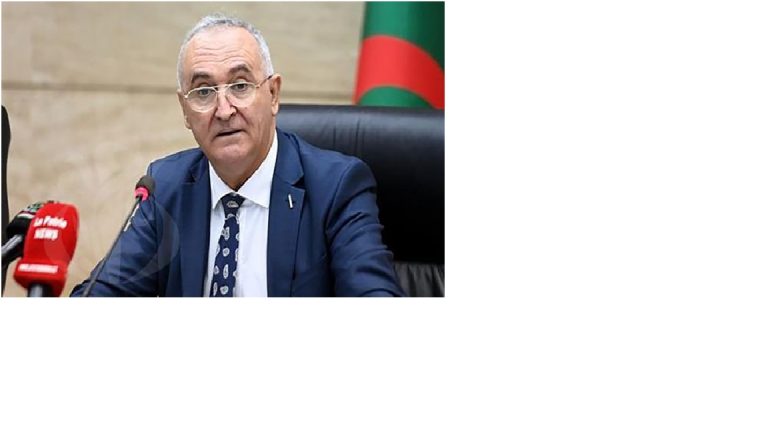 PLF :Prévisions d&rsquo;une Croissance Économique de 4,2 % en Algérie pour 2024